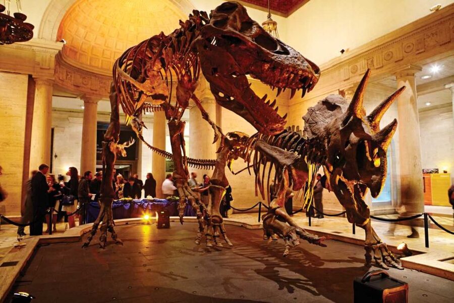 Los Angeles: Natural History Museum of LA Entry Ticket - Seeing science at the Dino Lab