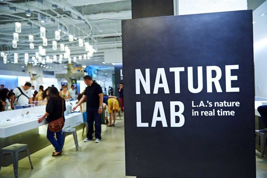 Los Angeles: Natural History Museum of LA Entry Ticket - Meeting Los Angeles in Becoming Los Angeles