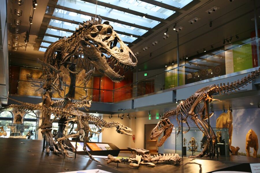 Los Angeles: Natural History Museum of LA Entry Ticket - Taking a slower look at the Gem and Mineral Hall
