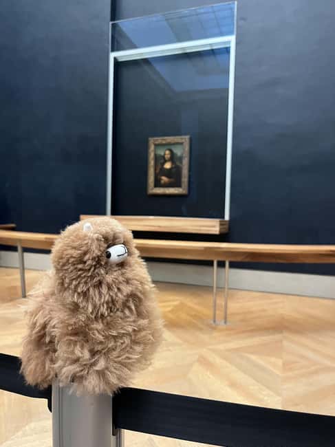 Louvre Museum Entry Ticket and Private Guided Tour - Key points to know before you book