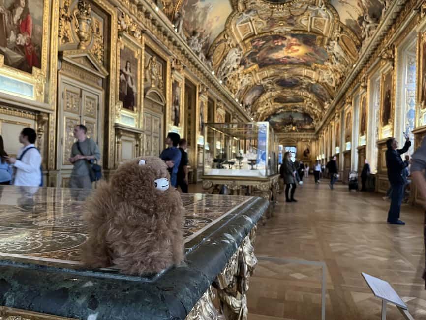 Louvre Museum Entry Ticket and Private Guided Tour - Price, pace, and practical limits