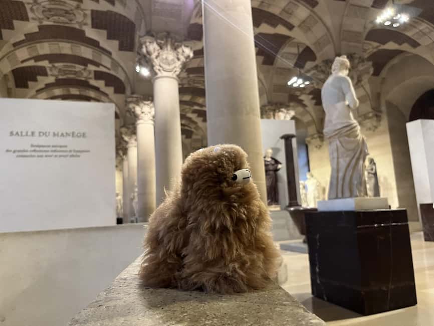 Louvre Museum Entry Ticket and Private Guided Tour - Leonardo, Botticelli, and the art of looking closely