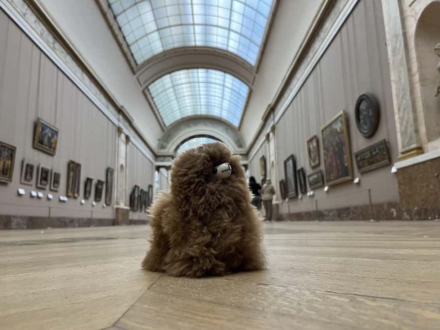 Louvre Museum Entry Ticket and Private Guided Tour - Meeting Mr. Lama Leonardo near Palais Royal