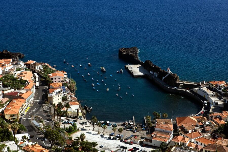Madeira: Signature Wine Tasting, Skywalk & Nature Expedition - Why this Madeira day tour works so well