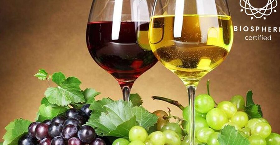Madeira: Signature Wine Tasting, Skywalk & Nature Expedition - Serra de Água and the climb toward Encumeada