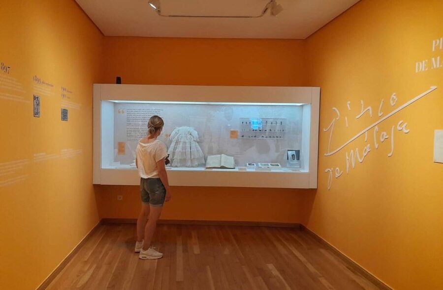 Málaga: Picasso Birthplace Museum Ticket & City Audio Guide - What the city audio guide adds