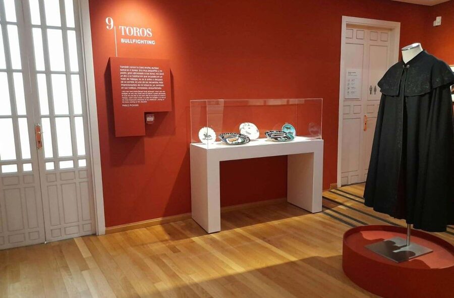 Málaga: Picasso Birthplace Museum Ticket & City Audio Guide - The queue and the museum’s real character