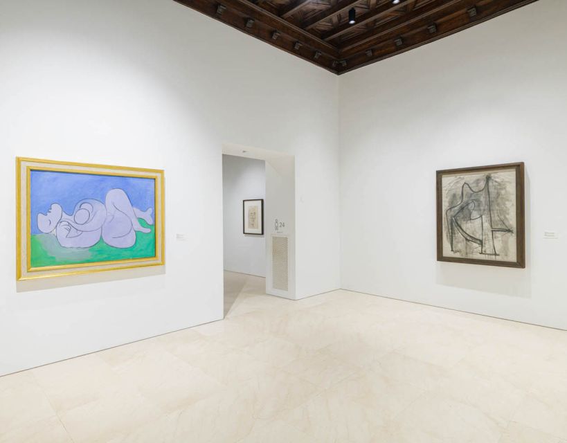 Malaga: Picasso Museum Guided Tour with Skip-the-Line Ticket - Is $41 good value?