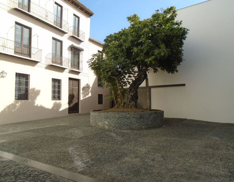Malaga: Picasso Museum Guided Tour with Skip-the-Line Ticket - Who will enjoy this museum tour most?