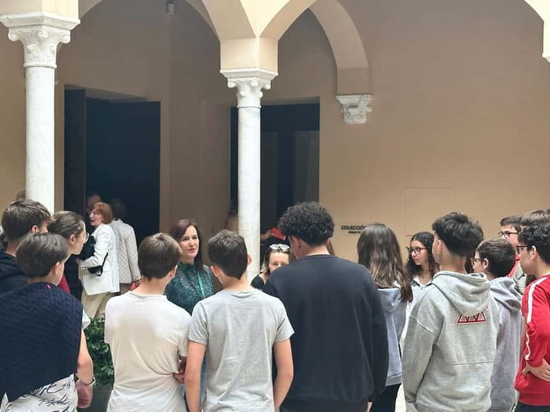 Málaga: Picasso Museum Tour with an Expert Art Guide for Small Groups - A personal guide instead of a standard museum speech