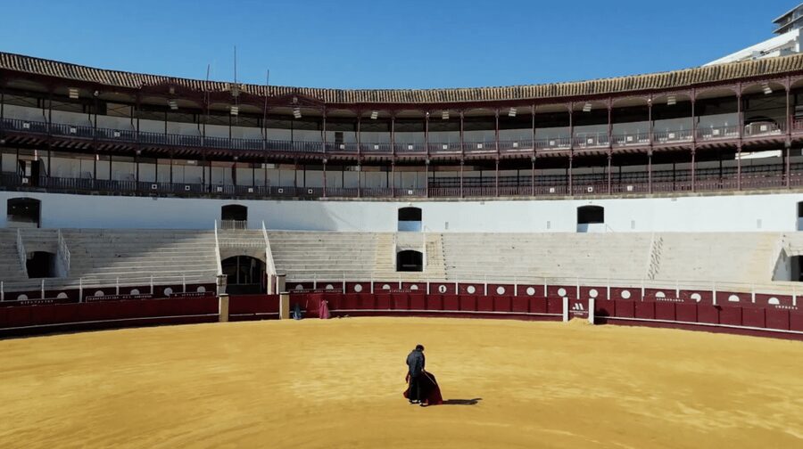 Malaga: Tour of Malagueta Bullring & Immersive Exhibition - Walking onto the arena floor