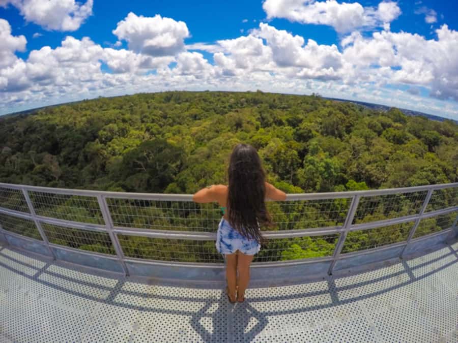 Manaus: MUSA and INPA Museums with Observation Tower Tour - Inside MUSA, where Manaus meets the forest