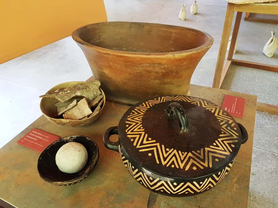 Manaus: MUSA and INPA Museums with Observation Tower Tour - The walking trails and the small details