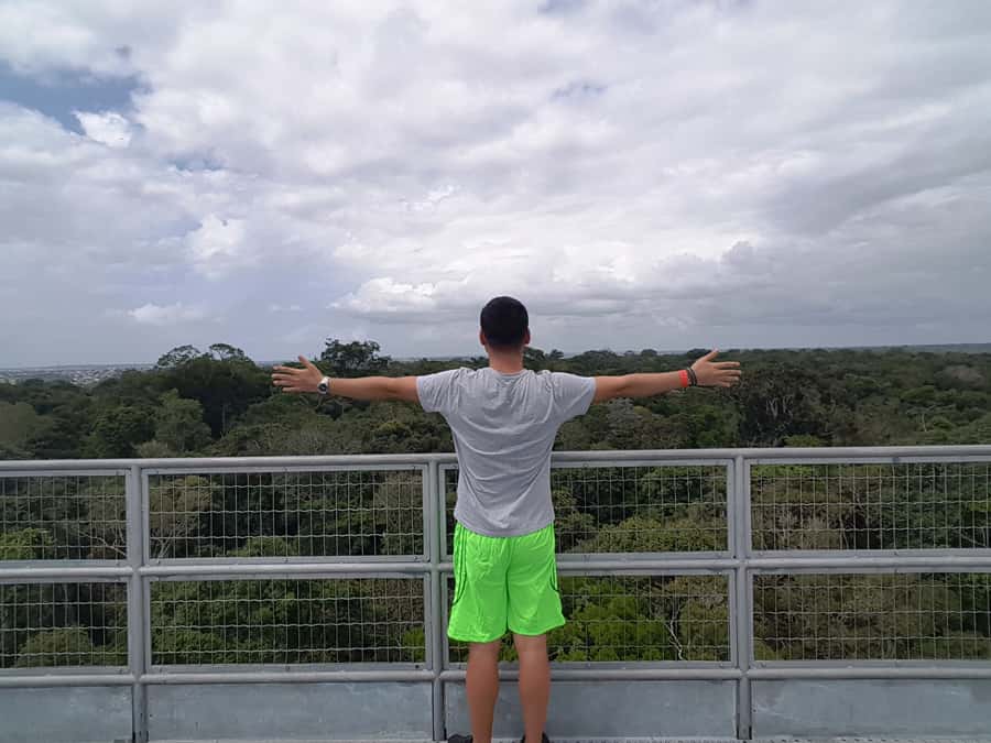 Manaus: MUSA and INPA Museums with Observation Tower Tour - Should you book MUSA and INPA?