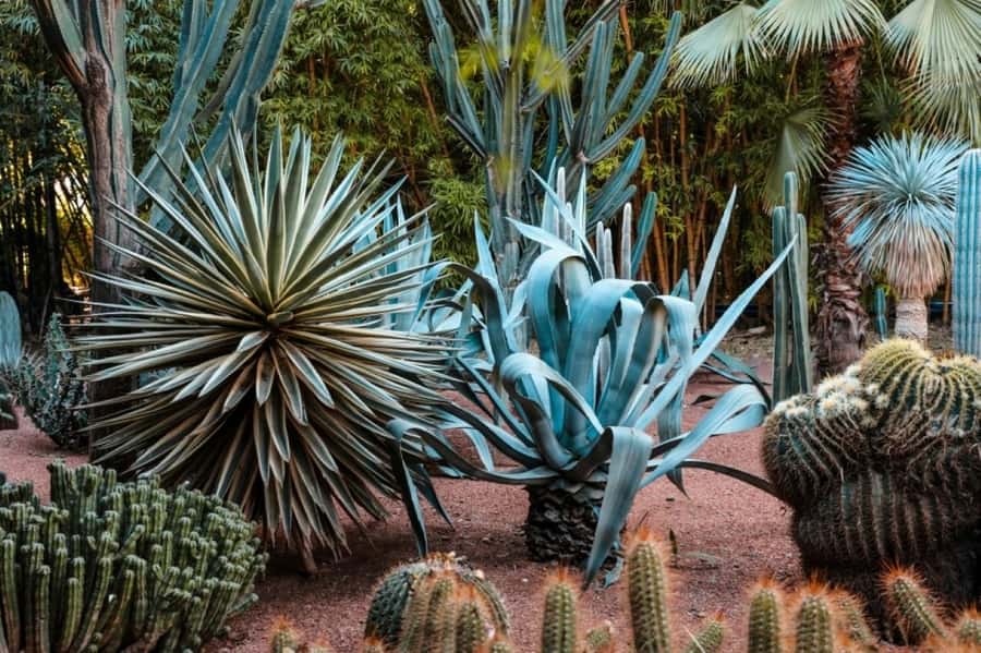 Marrakech: Majorelle Garden, Museums Tickets, & Audio Guide - How the digital audio guide works