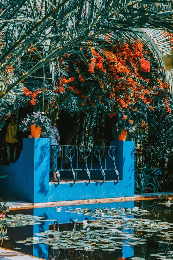 Marrakech: Majorelle Garden, Museums Tickets, & Audio Guide - Practical details that can save you trouble