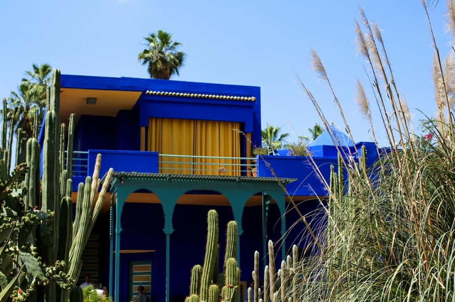 Marrakech: Majorelle Garden, YSL, and Berber Museum Entry - Key points at a glance