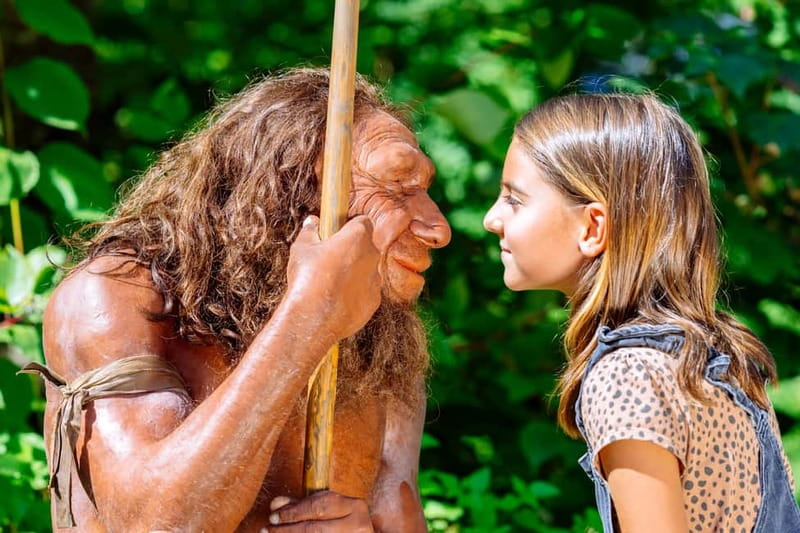 Mettmann: Neanderthal Museum Admission Ticket - Four Million Years of Human History in One Museum