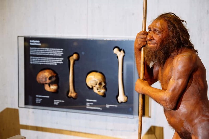 Mettmann: Neanderthal Museum Admission Ticket - The Neanderthal Discovery Site and Rabenstein