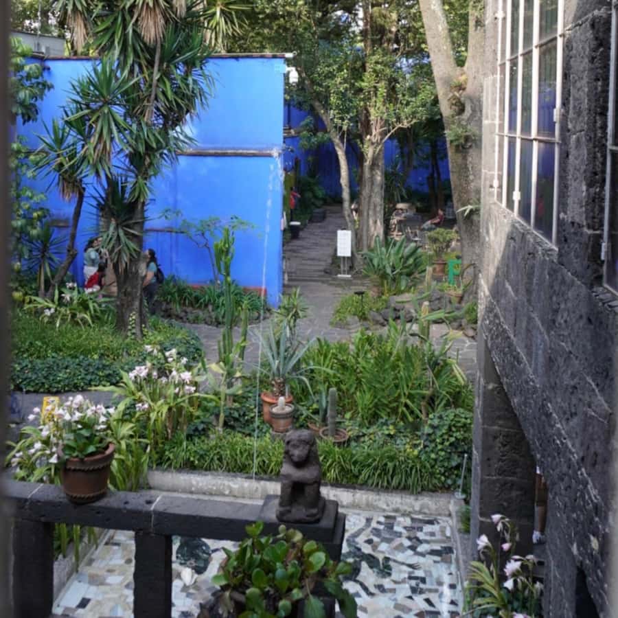 Mexico City: Frida Kahlo Museum Tour - Why Casa Azul tells Frida’s story so well