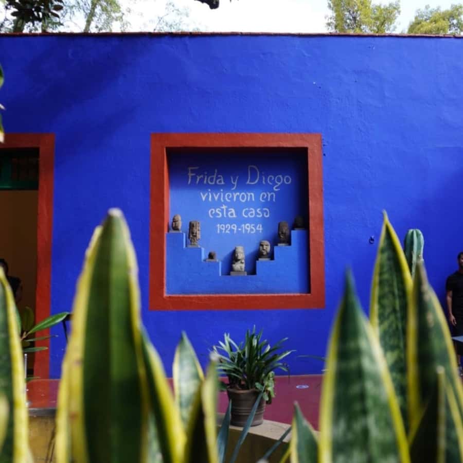 Mexico City: Frida Kahlo Museum Tour - The details that make Frida’s story human