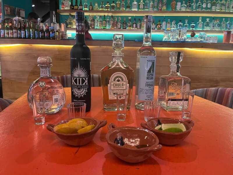 Mexico City: Tequila and Mezcal Museum Tour with Tasting - Who should book this experience?