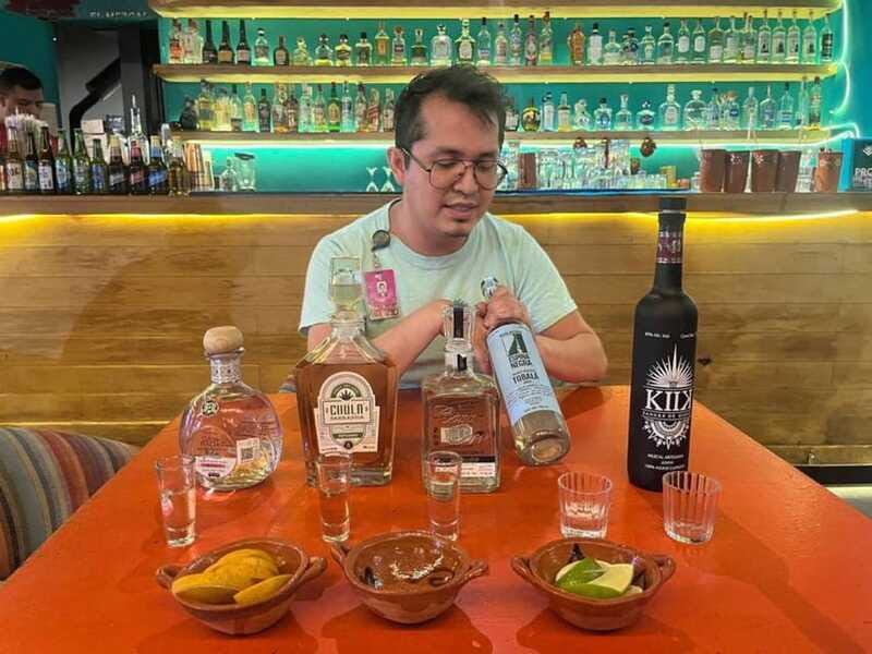 Mexico City: Tequila and Mezcal Museum Tour with Tasting - Practical details that affect your visit