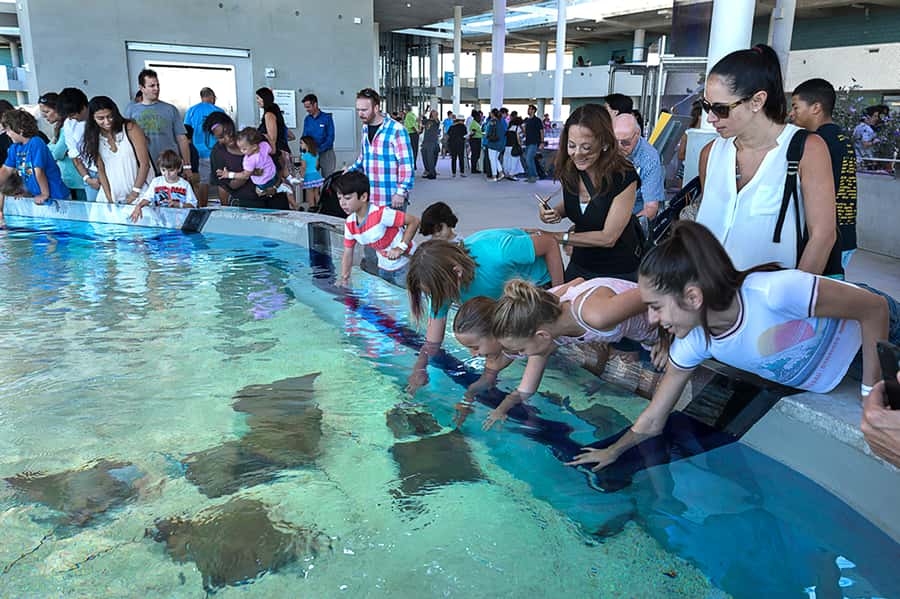 Miami: Frost Museum of Science and Planetarium Entry Ticket - How long to stay and how to pace the visit