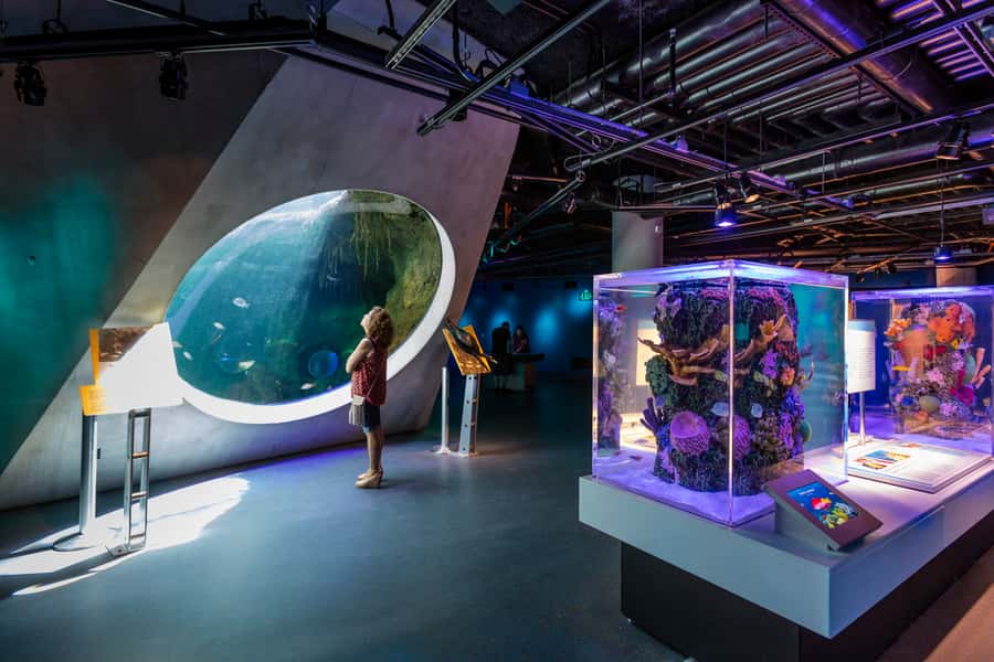 Miami: Frost Museum of Science and Planetarium Entry Ticket - Is the $30 ticket good value?
