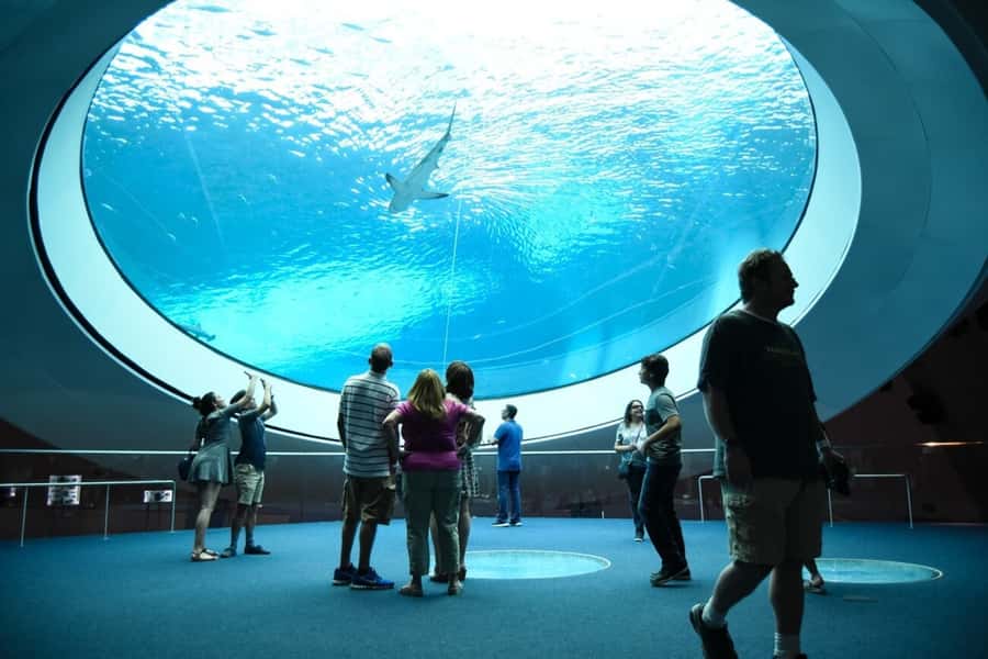 Miami: Frost Museum of Science and Planetarium Entry Ticket - Who will get the most from Frost Science?
