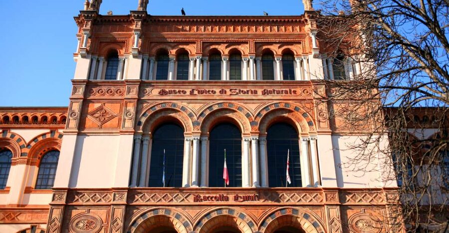 Milan: Natural History Museum Entry Ticket & Audio Guide - What this Milan museum visit is really like