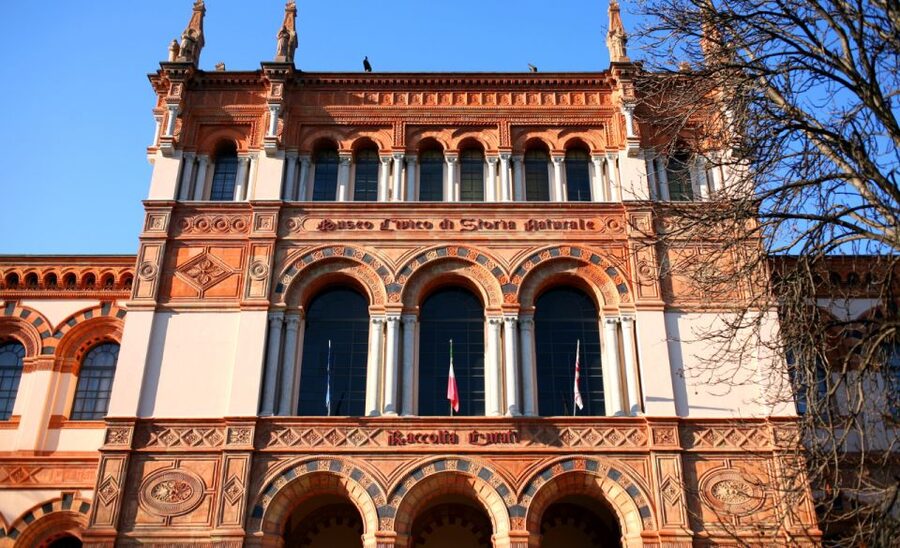 Milan: Natural History Museum Entry Ticket & Audio Guide - Who will enjoy this most?