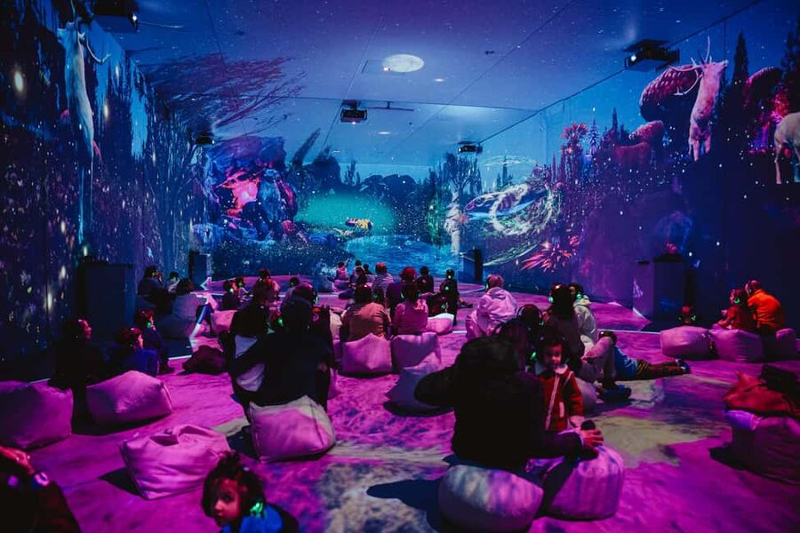 MINA Museum of Immersive New Art, Bucharest - Audio guides and the choice to explore quietly