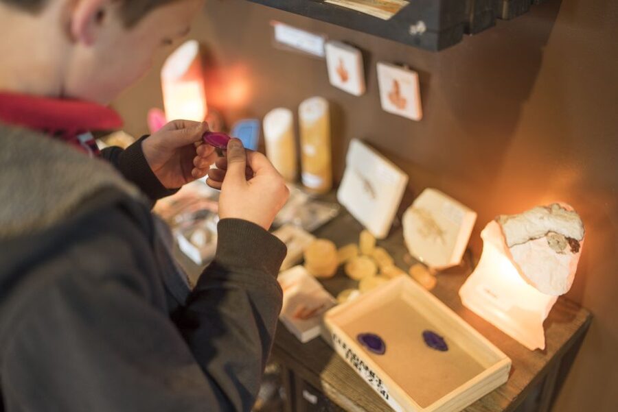 Moab: Moab Giants Dinosaur Park and Museum Entrance Ticket - Make the footprints meaningful at the Tracks Museum