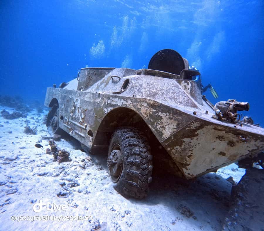 Museum Diving Experience in the Red Sea - The guide makes or breaks the day