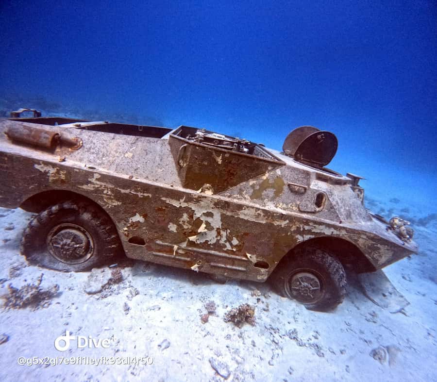 Museum Diving Experience in the Red Sea - How much value do you get for $61?