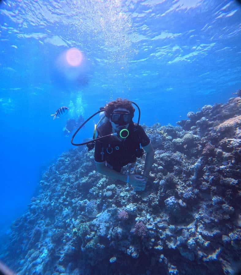 Museum Diving Experience in the Red Sea - Who should choose this experience?