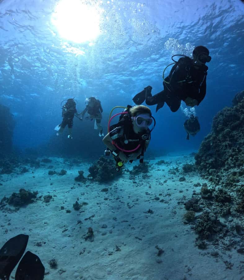 Museum Diving Experience in the Red Sea - Booking, cancellation, and timing tips