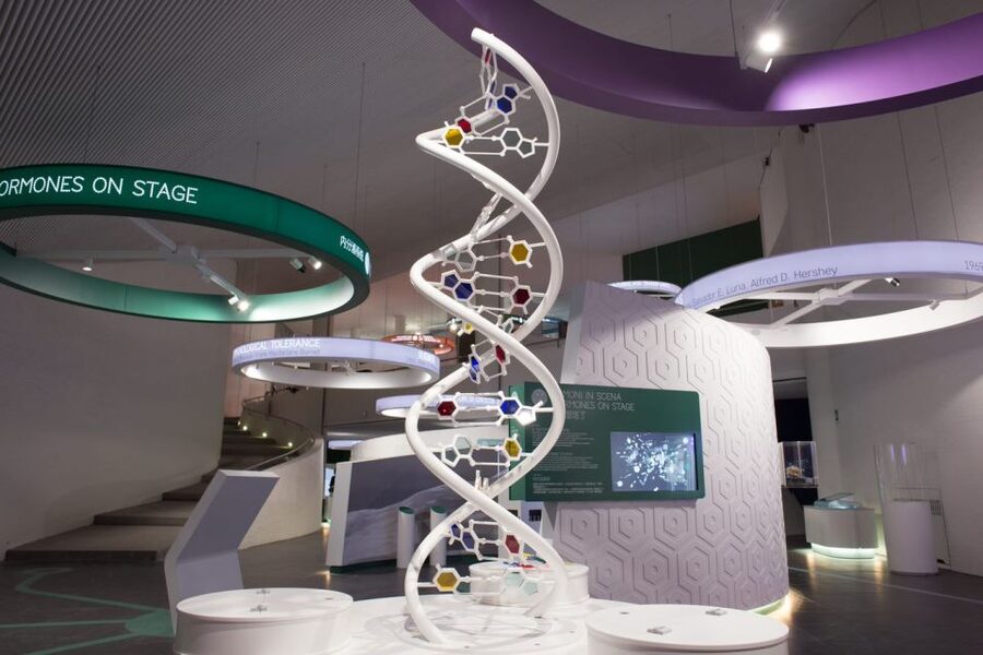 Naples: Città della Scienza Interactive Museum Entry Ticket - Key points to know before you go