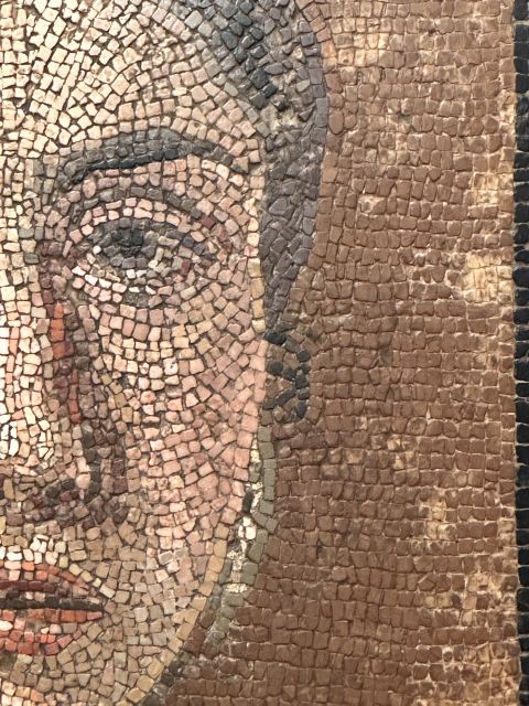 National Archaeological Museum of Naples Private Guided Tour - The Alexander the Great mosaic
