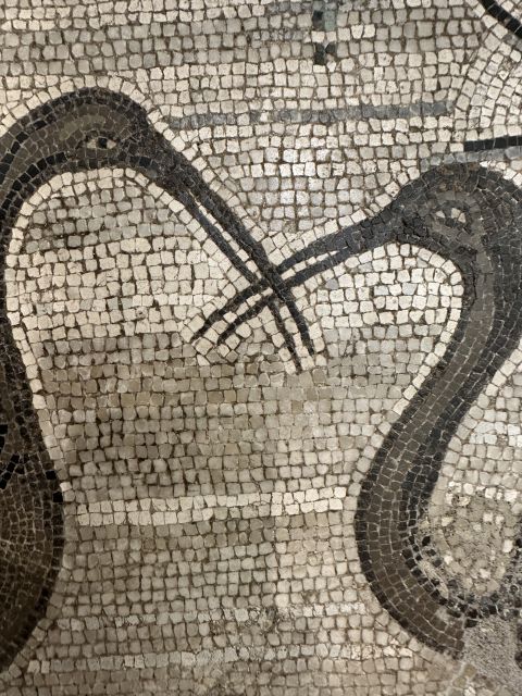 National Archaeological Museum of Naples Private Guided Tour - Meeting your guide at the museum entrance
