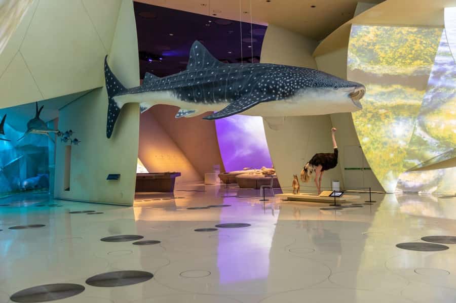 National Museum of Qatar: Admission Ticket - A museum where the building tells its own story