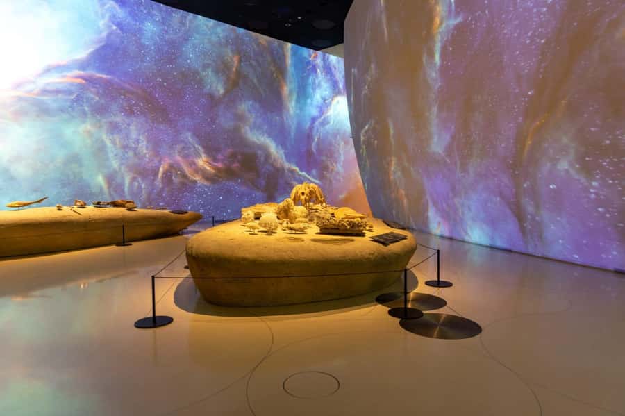 National Museum of Qatar: Admission Ticket - How long should you plan to stay?