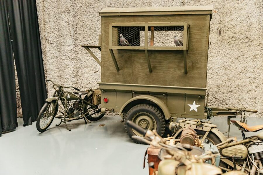 New Orleans: The National WWII Museum Ticket - Who will get the most from this museum?