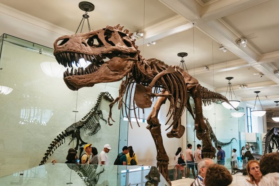 New York City: American Museum of Natural History Ticket - Key points to know