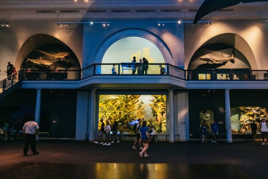 New York City: American Museum of Natural History Ticket - How crowded and manageable is the visit?