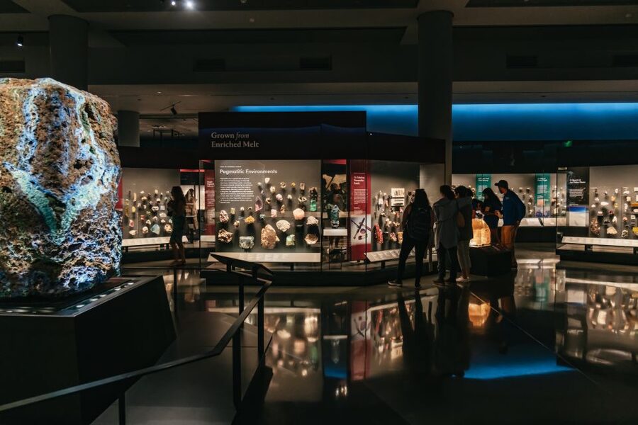 New York City: American Museum of Natural History Ticket - The Gilder Center’s modern change of pace