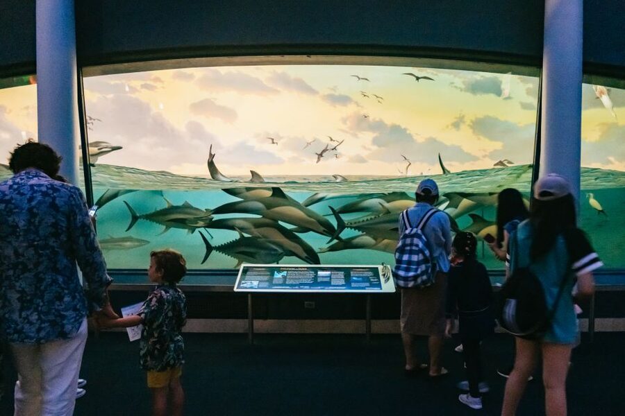 New York City: American Museum of Natural History Ticket - Choosing the ticketed exhibitions