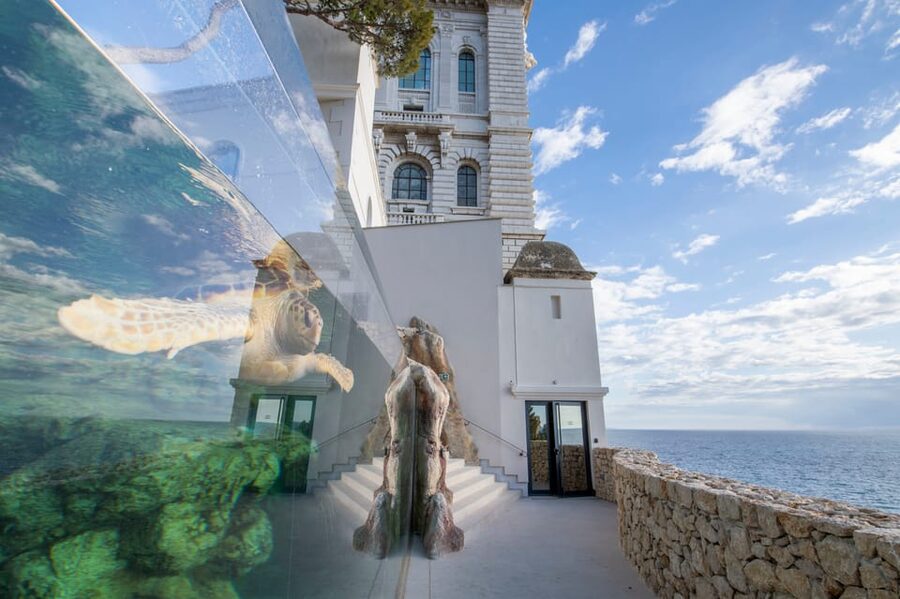 Oceanographic Museum of Monaco Ticket - Oceanomania and the objects that tell sea stories