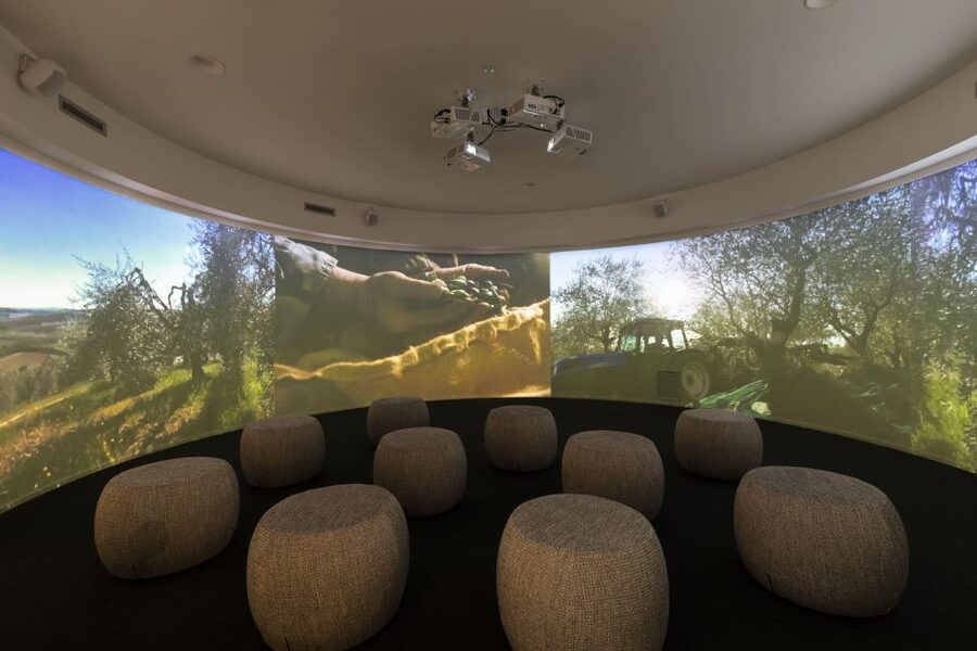 Oil Museum and Mill in Tuscany: interactive tour and tasting - Stage three: modern processing and the oil mill today